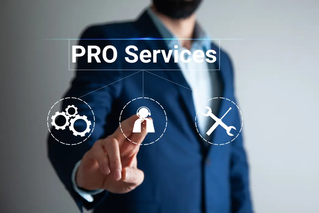 Services Business Pro